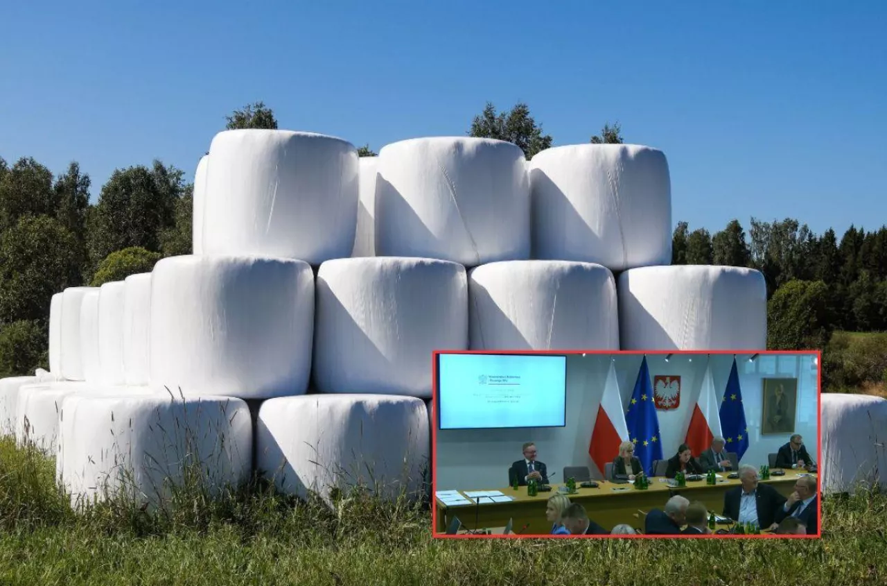 Rolnicy toną w folii. "Na litość boską, znajdźcie 25 mln zł!"