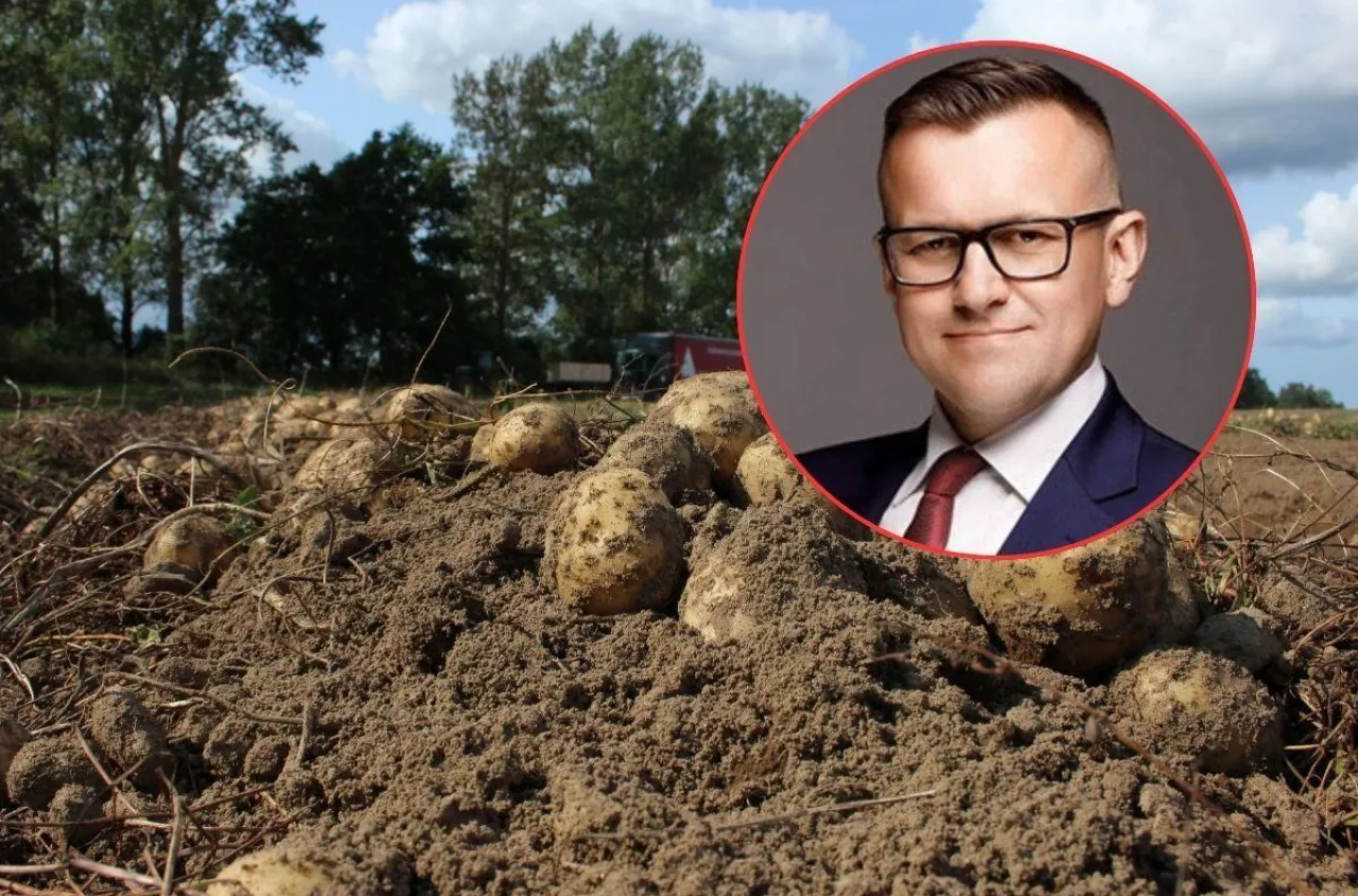Każdy musiałby zjeść 60 kg ziemniaków. Rolnicy ostro o akcji ministerstwa
