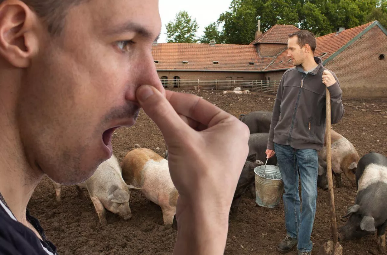 "Ludzie skarżą się na smród". Nowe przepisy dla obór i chlewni coraz bliżej