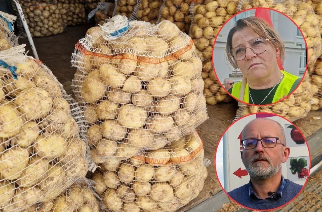 Sezon dopiero ruszył, a młode ziemniaki runęły do 2 zł. Rolnicy są załamani