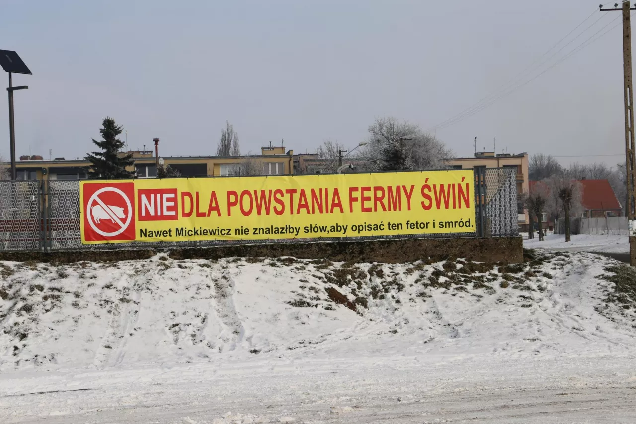 Miał budować fermę na 20 tys. świń. Gmina właśnie go zablokowała