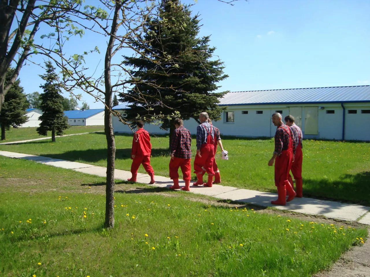 bioasekuracja, wejście do chlewni, pracownicy