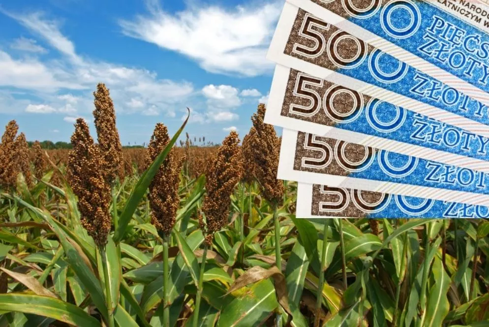 Nawet 350 zł do hektara. ARiMR czeka na wnioski tylko do 10 lipca