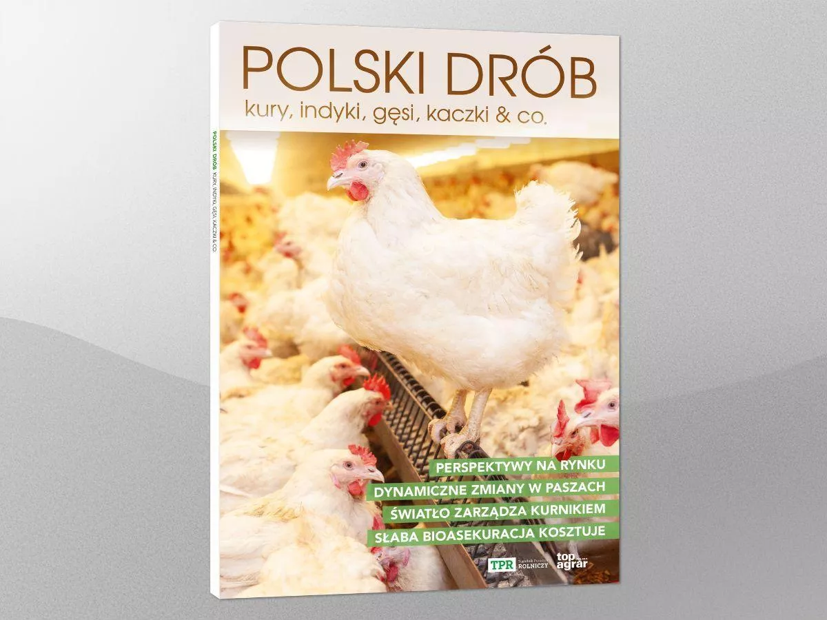Polski Drób – nowa publikacja o branży, która napędza polskie rolnictwo
