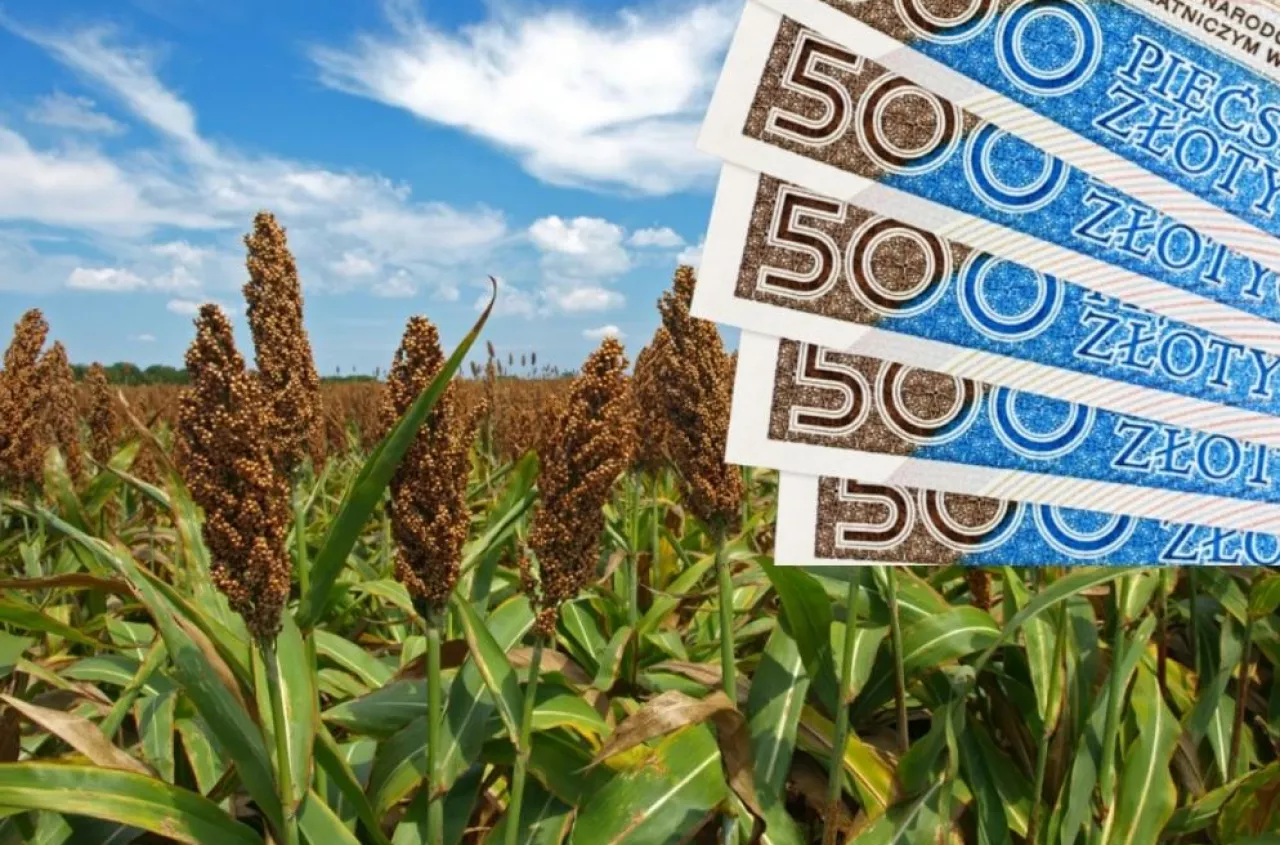 Nawet 350 zł do hektara. ARiMR czeka na wnioski tylko do 10 lipca