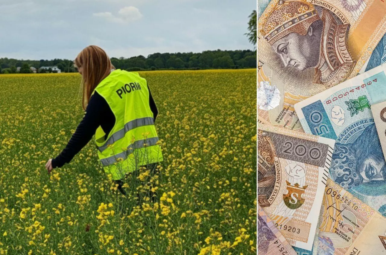 Inspektorzy jeżdżą po polach i sprawdzają opryski. Kary mogą być dotkliwe
