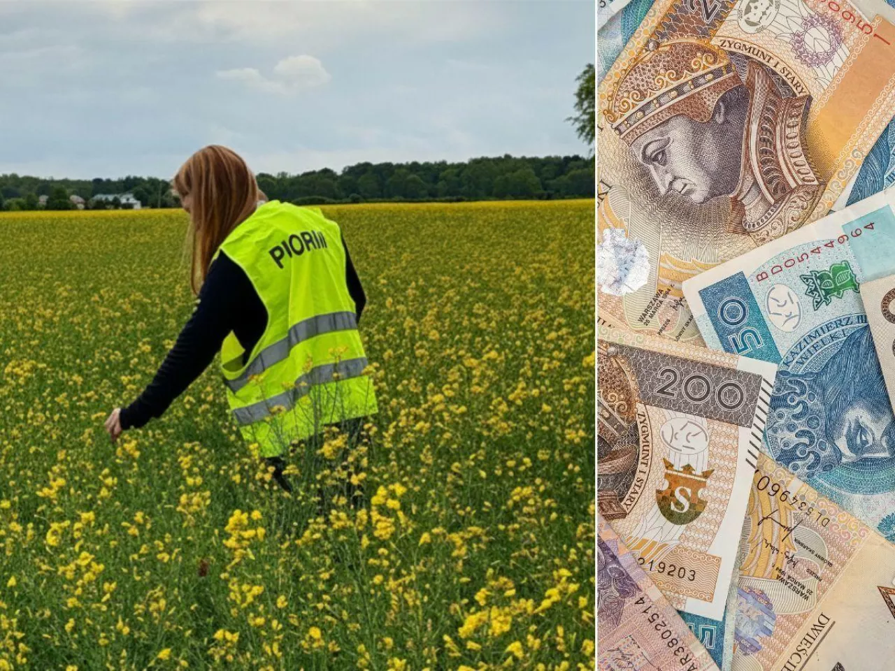 Inspektorzy jeżdżą po polach i sprawdzają opryski. Kary mogą być dotkliwe 