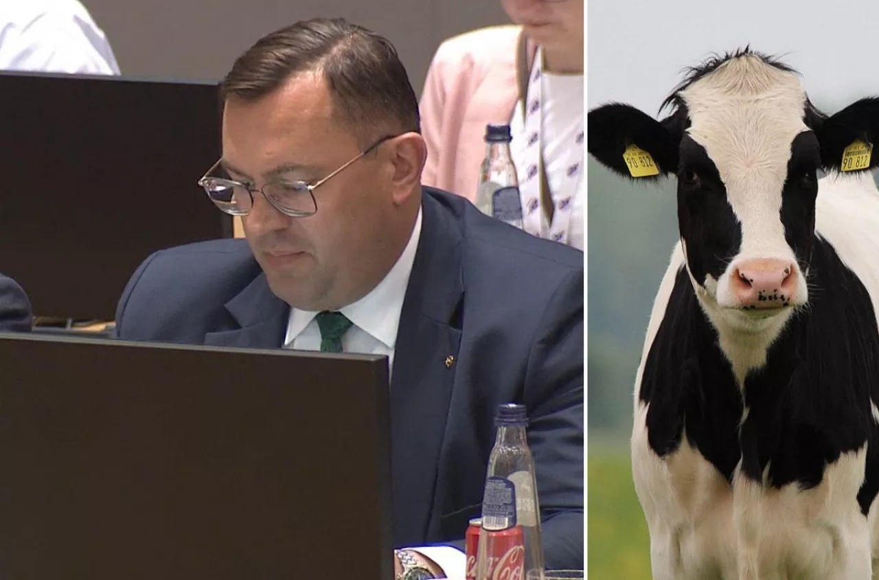 "Ten statek tonie". Europa alarmuje ws. mleka. Będzie pomoc dla rolników?