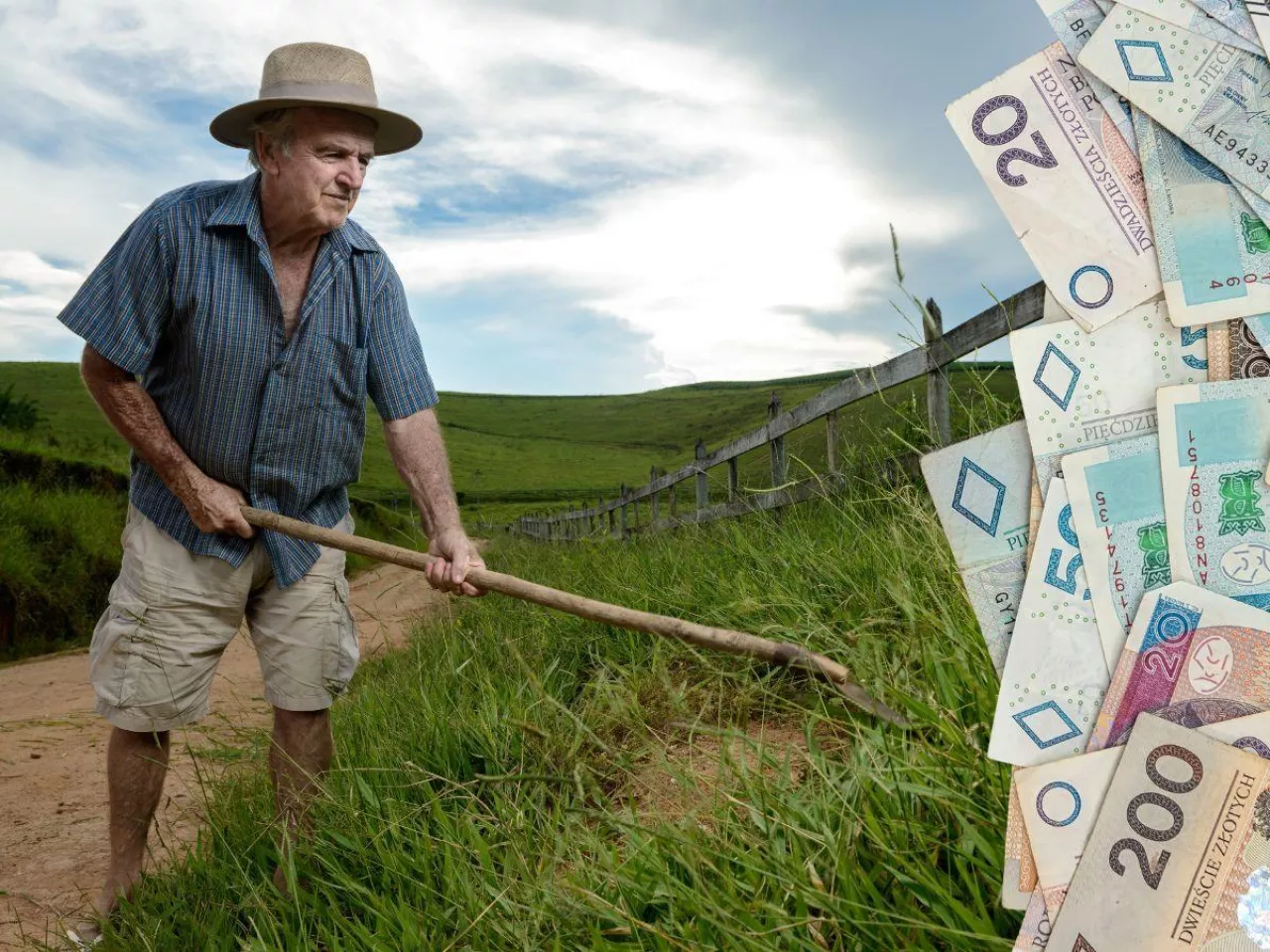 rolnik na polu, po prawej banknoty polskie