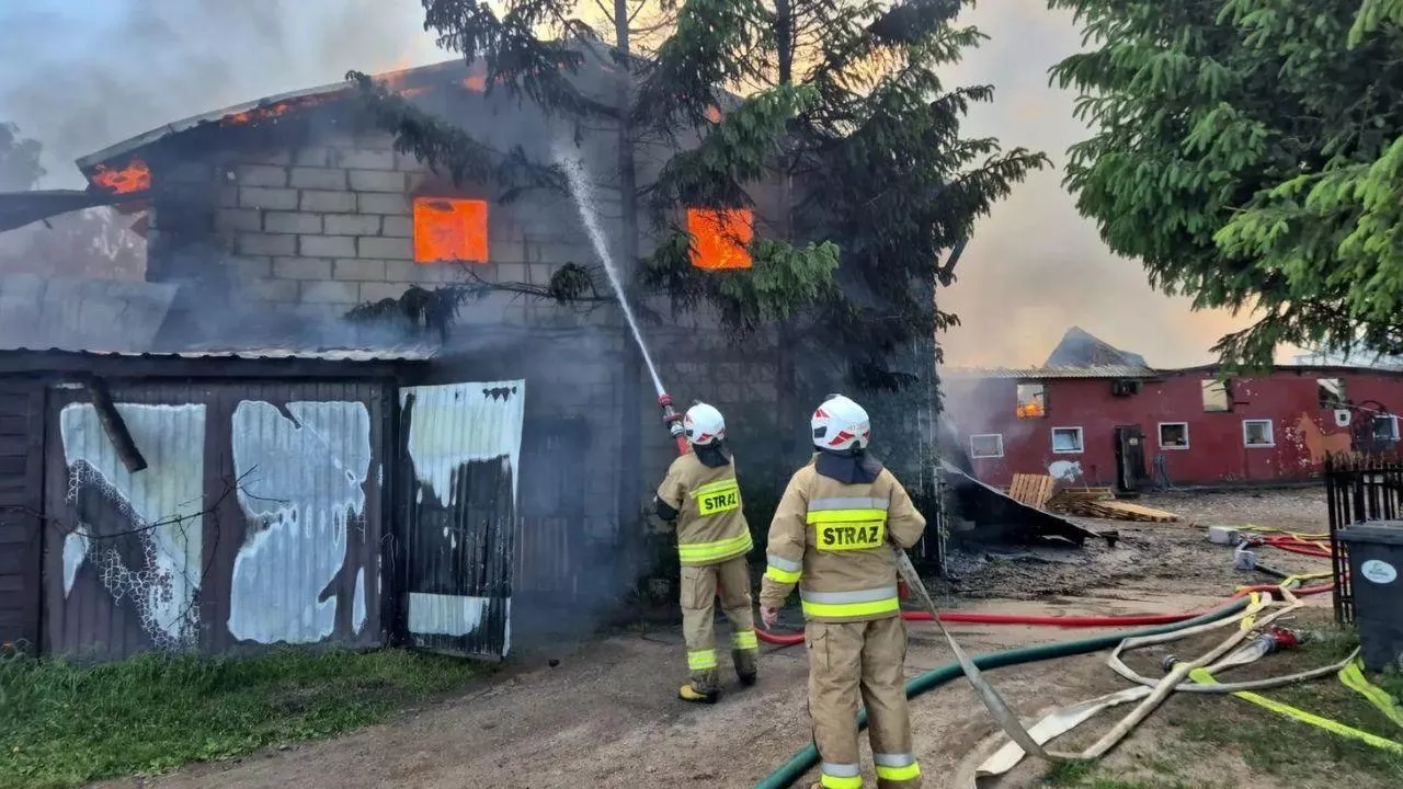 W chlewni znajdowało się około 700 świń