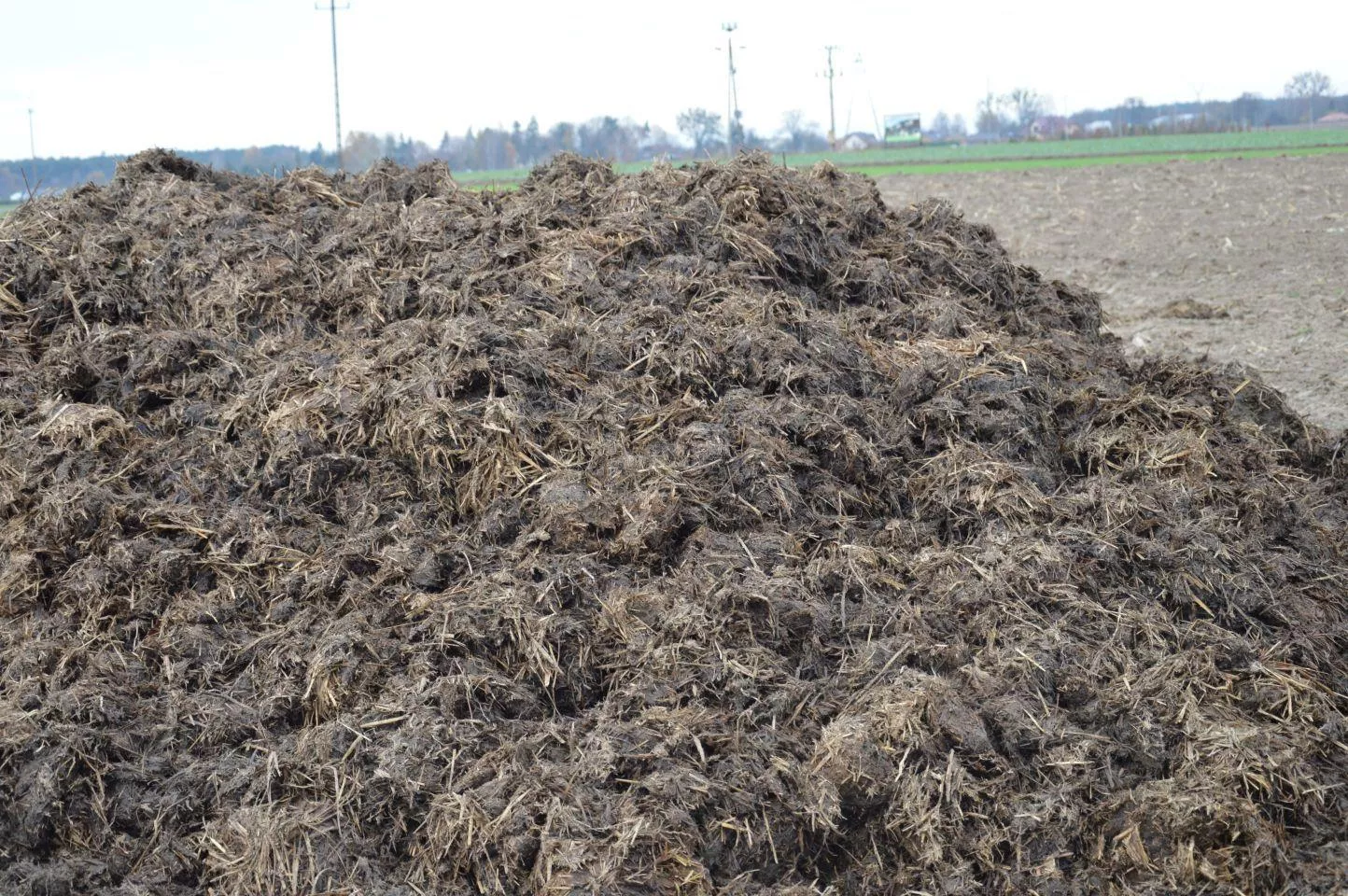 Przywieźli obornik i od razu rozrzucili. Czy wtedy płyta jest potrzebna?