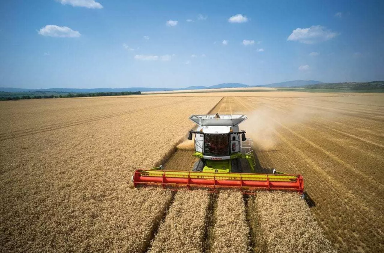 Używane kombajny na 100–200 ha. Rolnicy polują dziś na takie maszyny