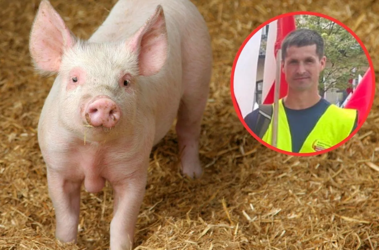 „Bałem się wyjść na podwórko”. Rolnik miał 8 kontroli w rok