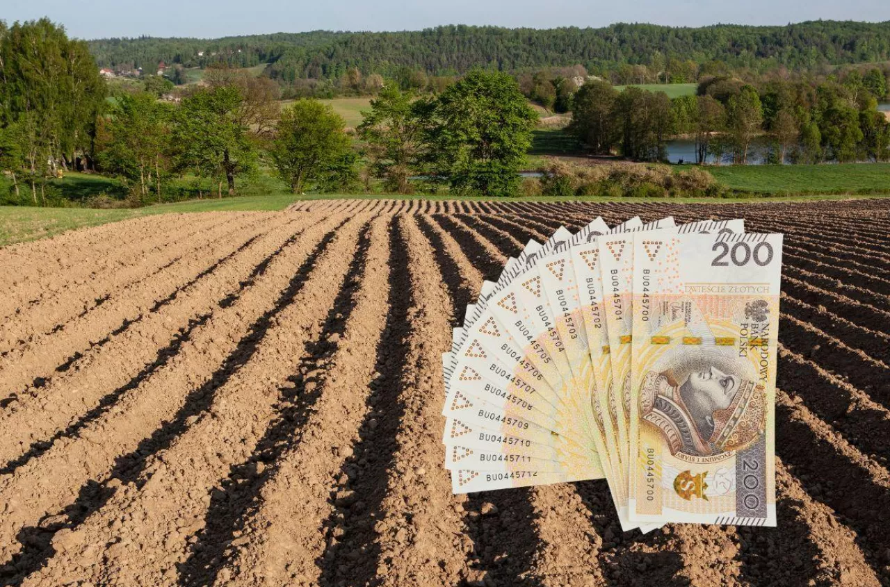 Komornik licytuje ziemię teścia. Czy zięć może ją kupić? Jest decyzja SN