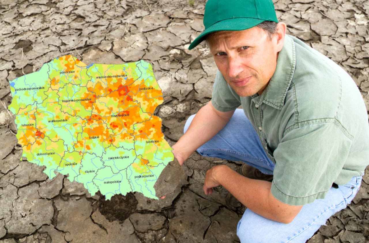 Nowy raport IUNG. W tych regionach susza objęła już 100 proc. gmin [MAPY]