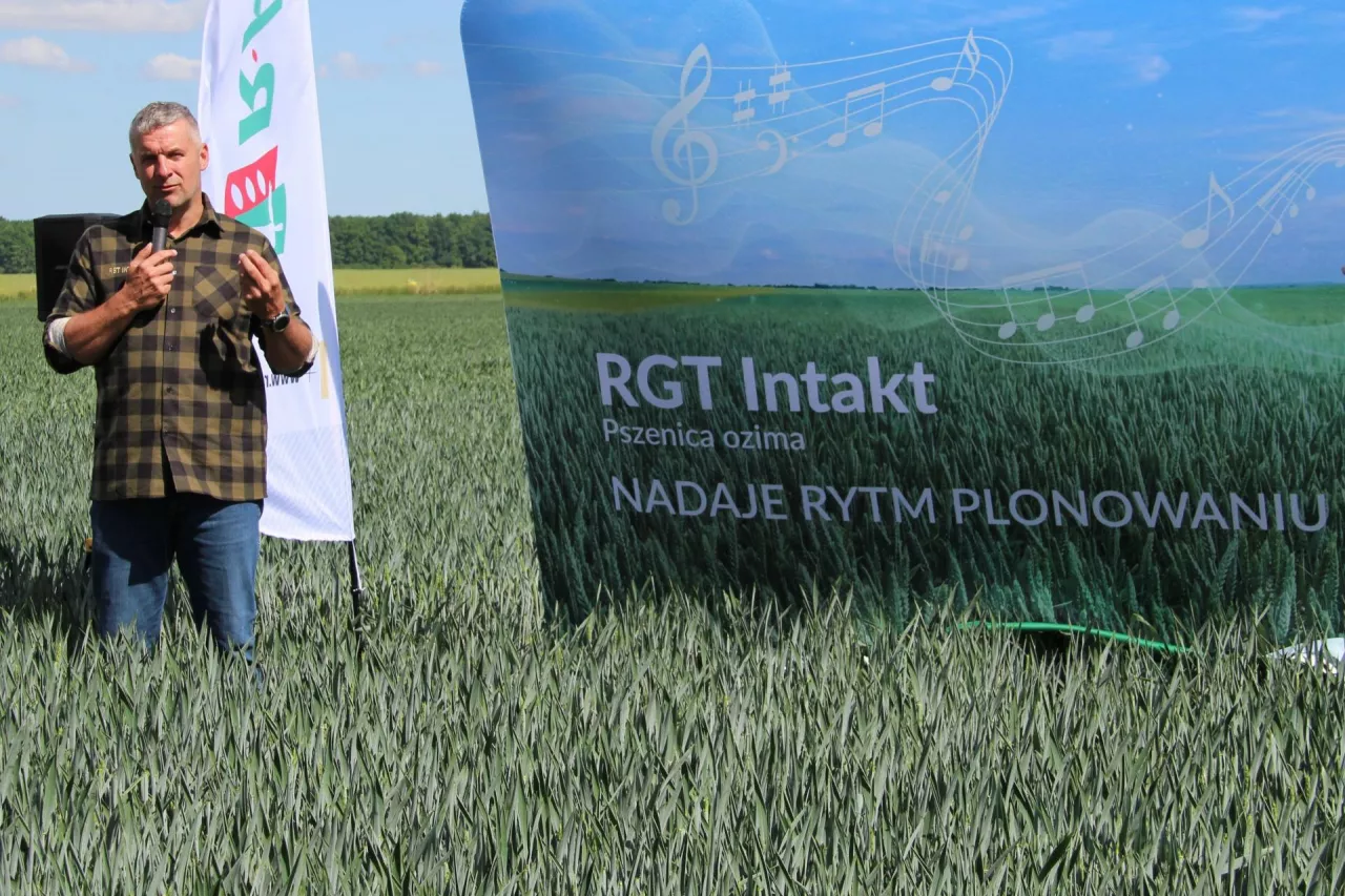 Pszenicę ozimą RGT Intakt – nadającą rytm plonowaniu zaprezentował Mateusz Hachuła z firmy RAGT