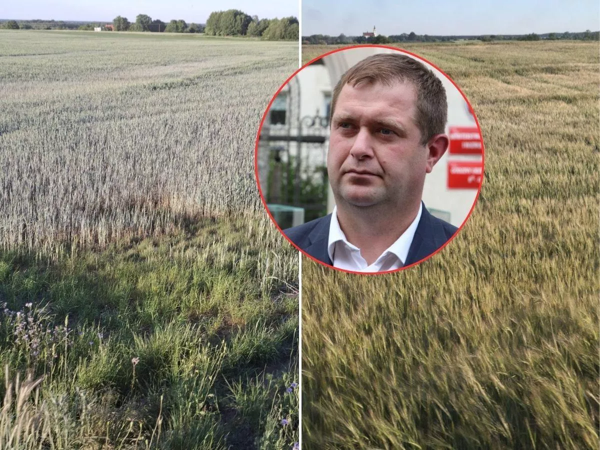 „Jak mamy siać jesienią bez pieniędzy?”. Rolnicy alarmują po nowych stratach