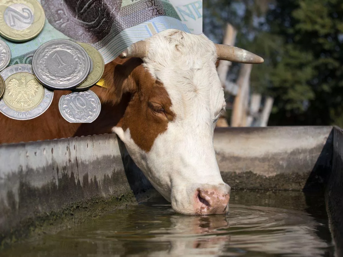 60 tys. zł kary za własną studnię? Resort zabrał głos