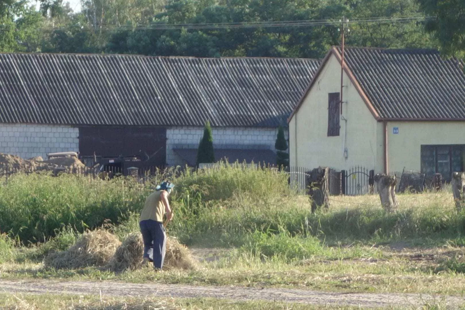 Skosił zboże, trafił do sądu. Jest nowy plan ochrony rolników
