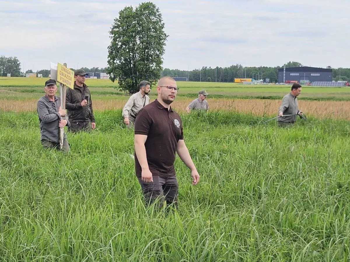 Drony nad łąkami. Rolnicy i myśliwi ratują sarenki przed kosiarkami