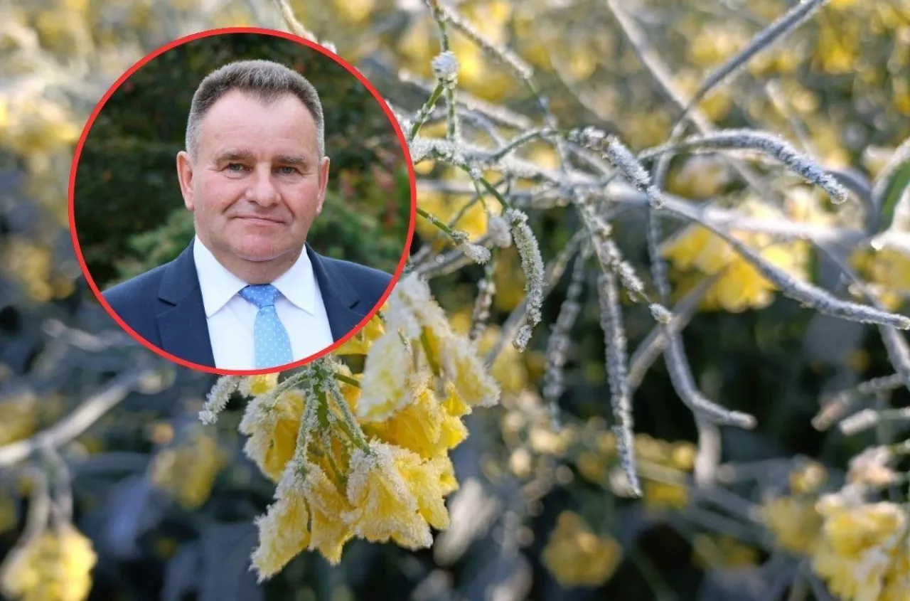 Nie wolno szacować strat w rzepaku? Wojewoda zabrał głos