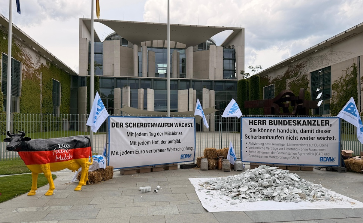 Ceny mleka spadają. Rolnicy rozbili porcelanę przed siedzibą rządu