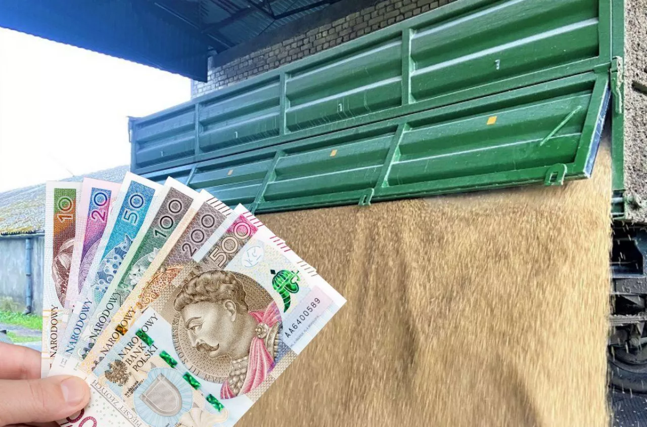 Ceny zbóż: strat nie da się odrobić. Świnie runęły, nawozy znów drożeją [Raport 12.06]