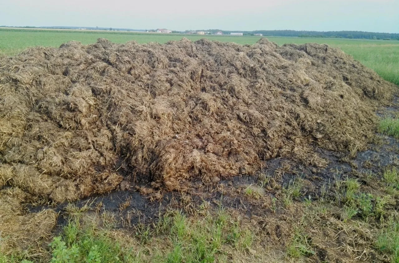 Obornik na pryzmie: podczas kontroli mogą zażądać tego dokumentu