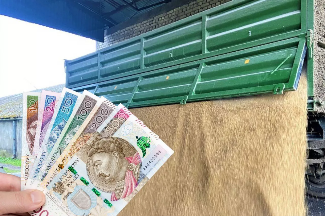 Pola się zazieleniły, ale zboża, rzepak i nawozy wciąż bez przełomu