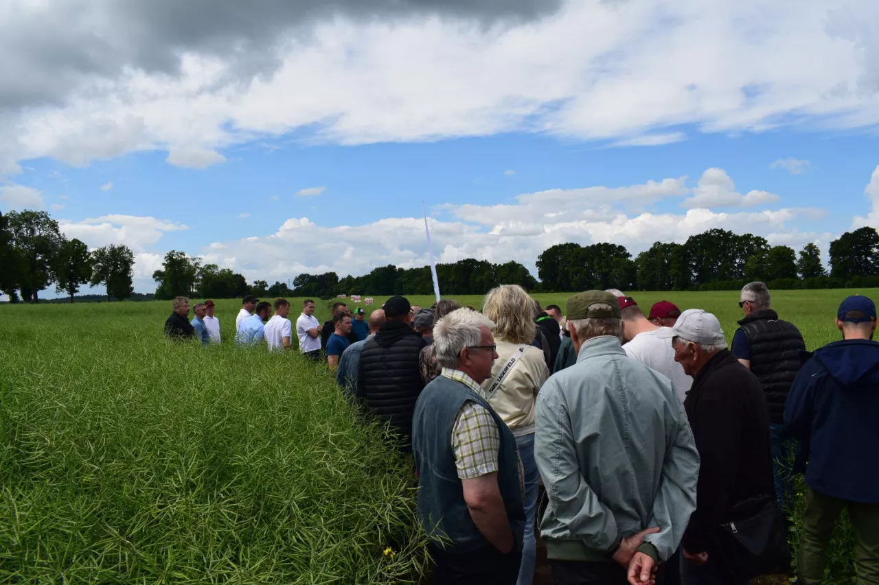 12 czerwca podczas Dnia Pola Top Farms Nasiona odbywającego się w gospodarstwie Agro-Funduszu Mazury Sp. z o.o. w Drogoszach, jak co roku rolnicy mogli zobaczyć bogatą kolekcję odmian zbóż i rzepaków