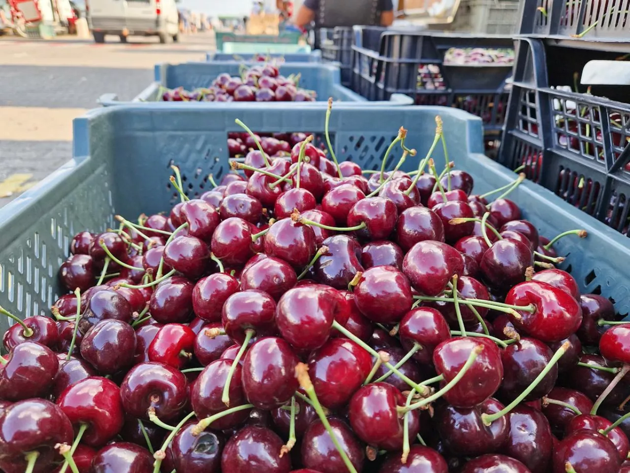 Początek sezonu, a rolnicy już nie mogą sprzedać plonów. Rynek zalał tani import, fot. ilustrujące