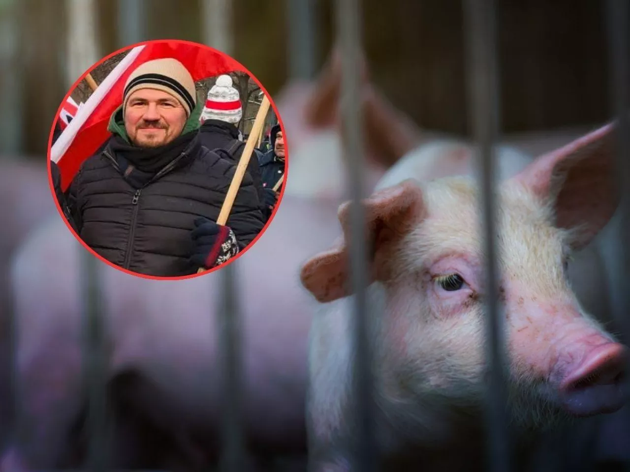 Marcin Hałabis o przyszłości rolnictwa