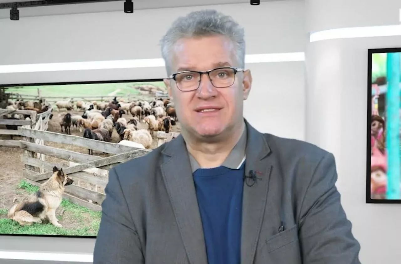 Boję się windykatora bardziej niż śmierci”. Dramatyczny apel rolniczki