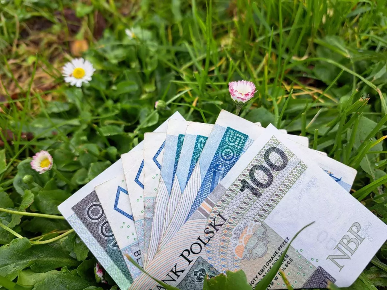 150 tys. zł na start firmy na wsi, nawet 500 tys. zł na rozwój. Ruszają dotacje LGD
