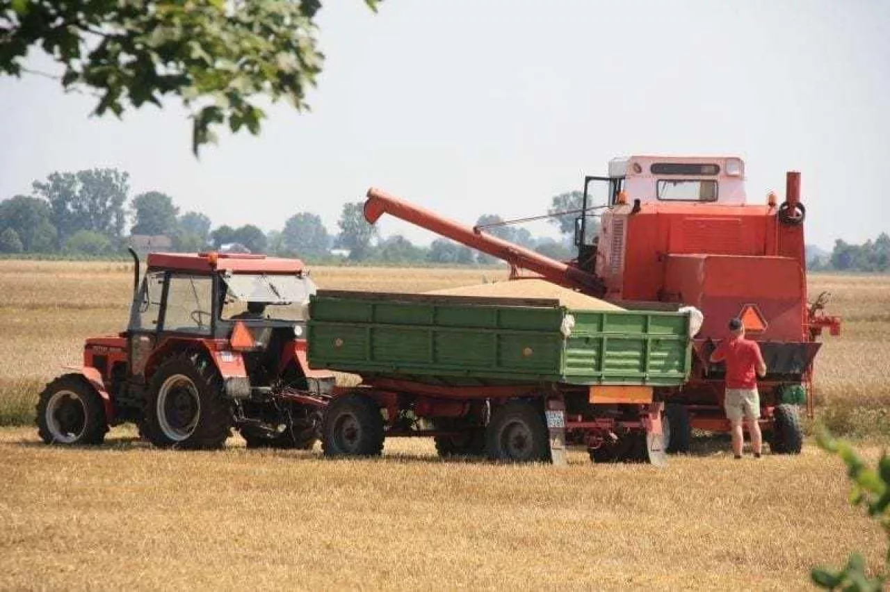 Jaka pogoda czeka rolników w żniwa?