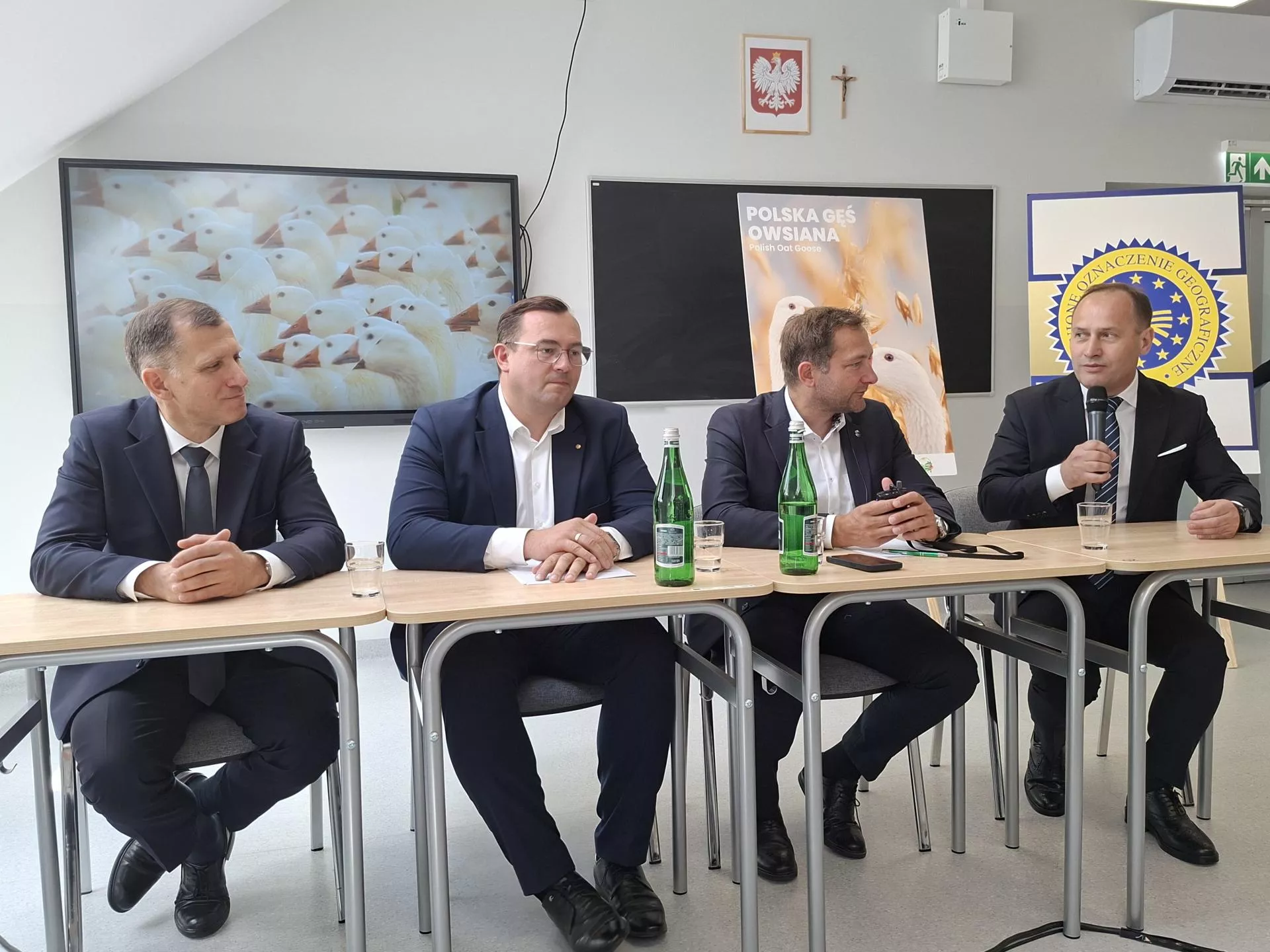 Polska gęś owsiana może dać rolnikom dwa razy większe przychody