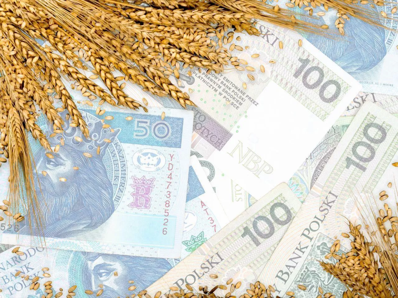materiał siewny, banknoty