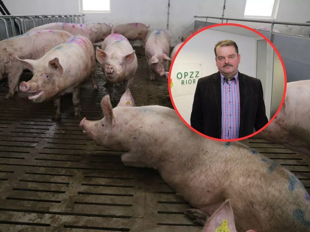 lochy, w kółeczku twarz Sławomira Izdebskiego, przewodniczącego OPZZ