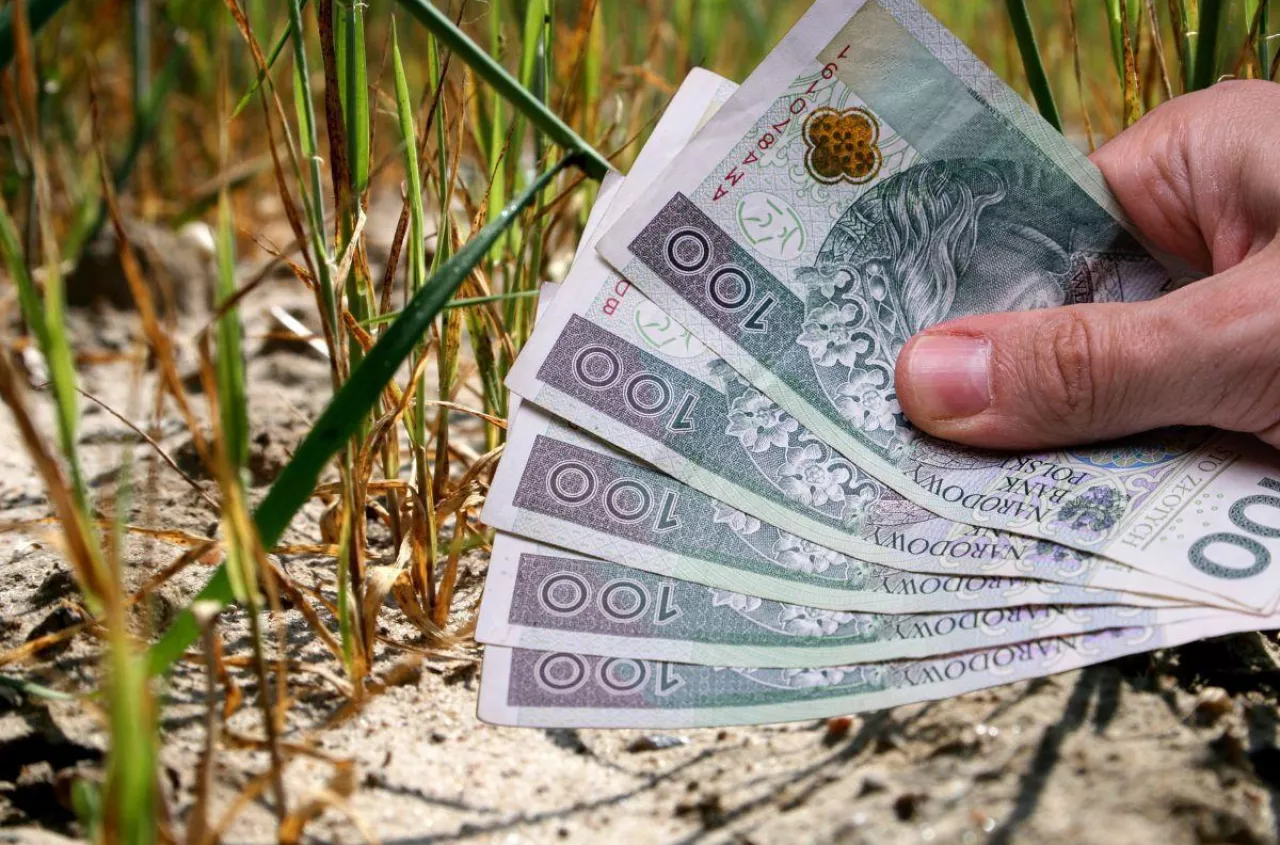 Będzie pomoc suszowa dla rolników? Pilny wniosek trafił do ministra