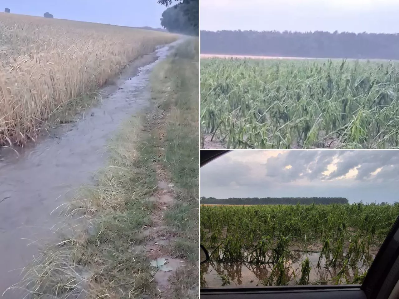 Gradobicie w gm. Święciechowa
