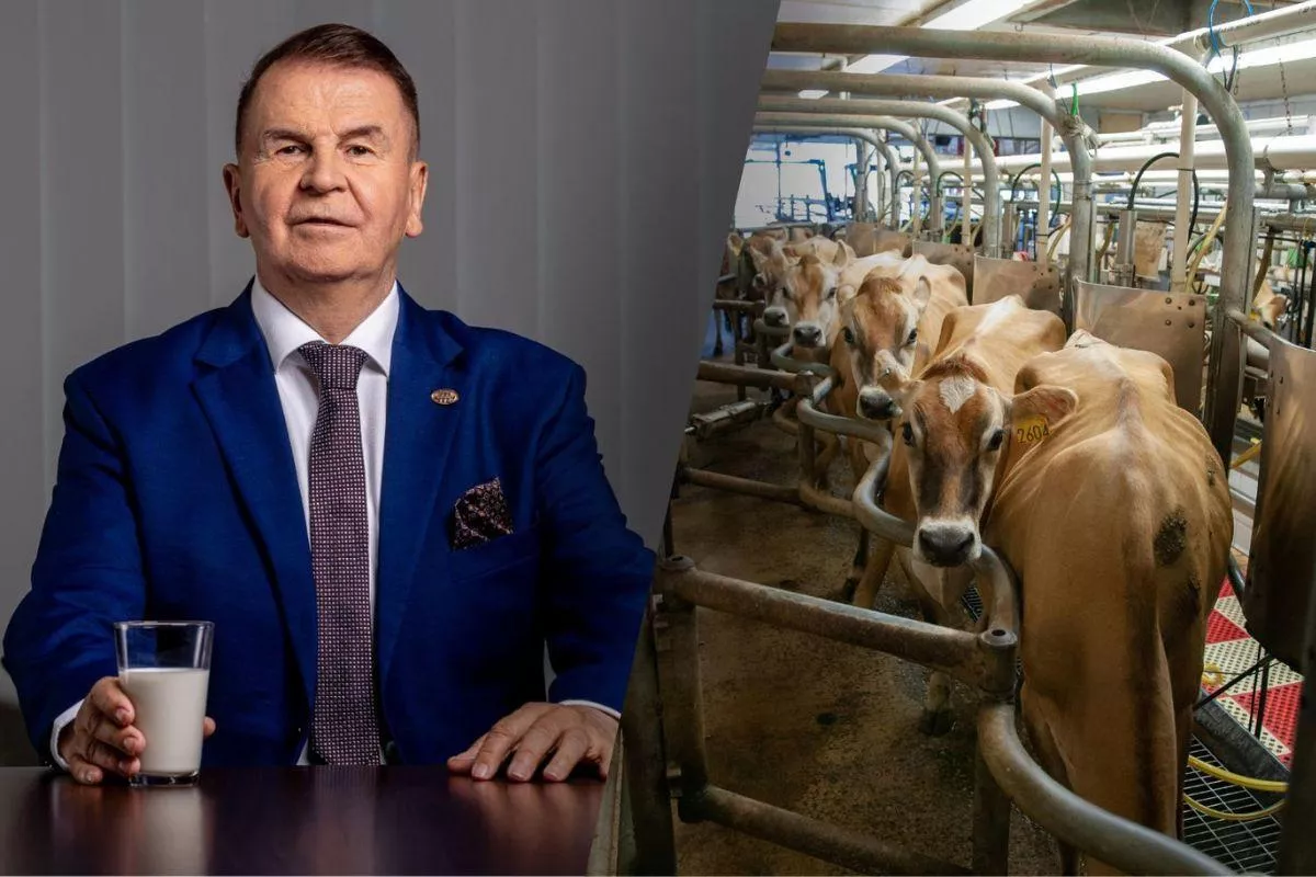 Mlekovita ma rekordowy rok. Tyle mleka skupiła od polskich rolników