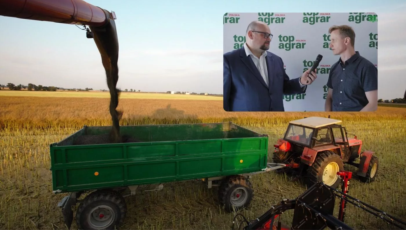 Rzepaku może zabraknąć. Ekspert: to dobry moment dla rolników