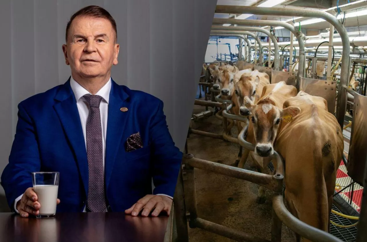 Mlekovita ma rekordowy rok. Tyle mleka skupiła od polskich rolników