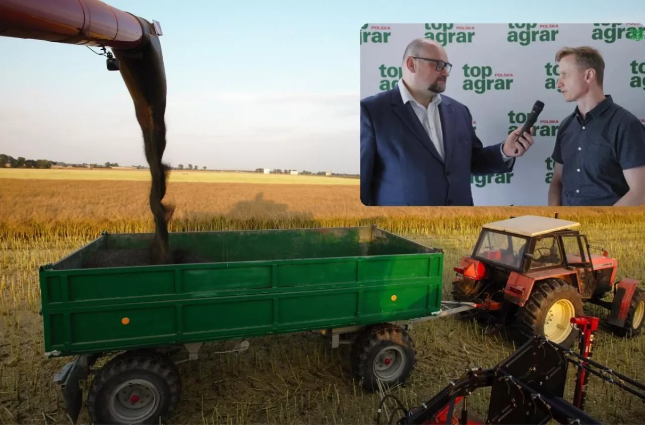 Rzepaku może zabraknąć. Ekspert: to dobry moment dla rolników
