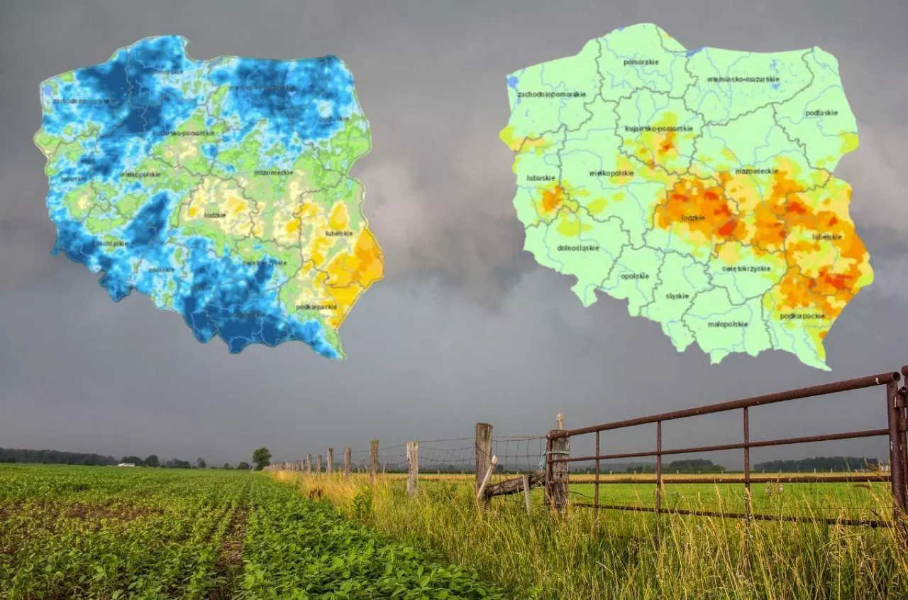 Susza objęła już większość gmin w Polsce. Nowy raport IUNG