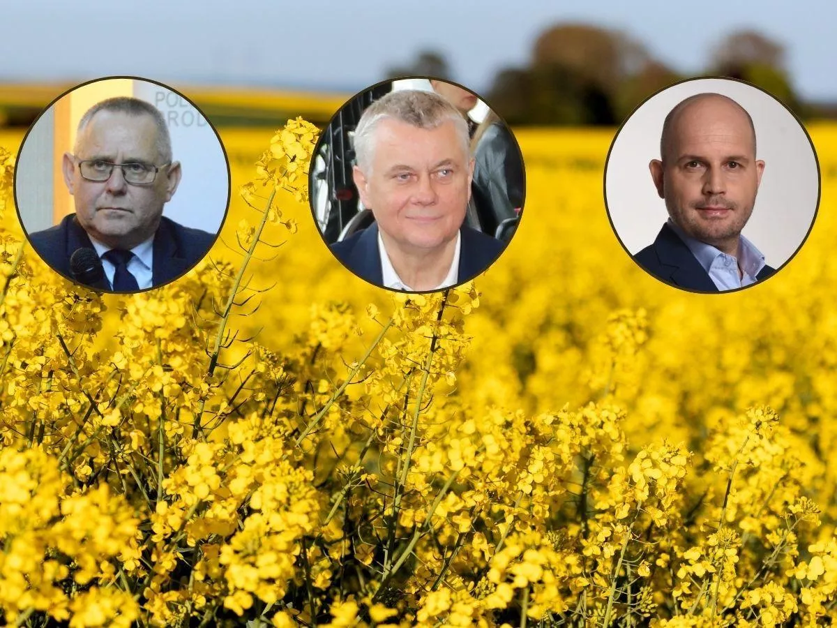 Alarm na rynku rzepaku. Branża chce otwarcia granicy z Ukrainą