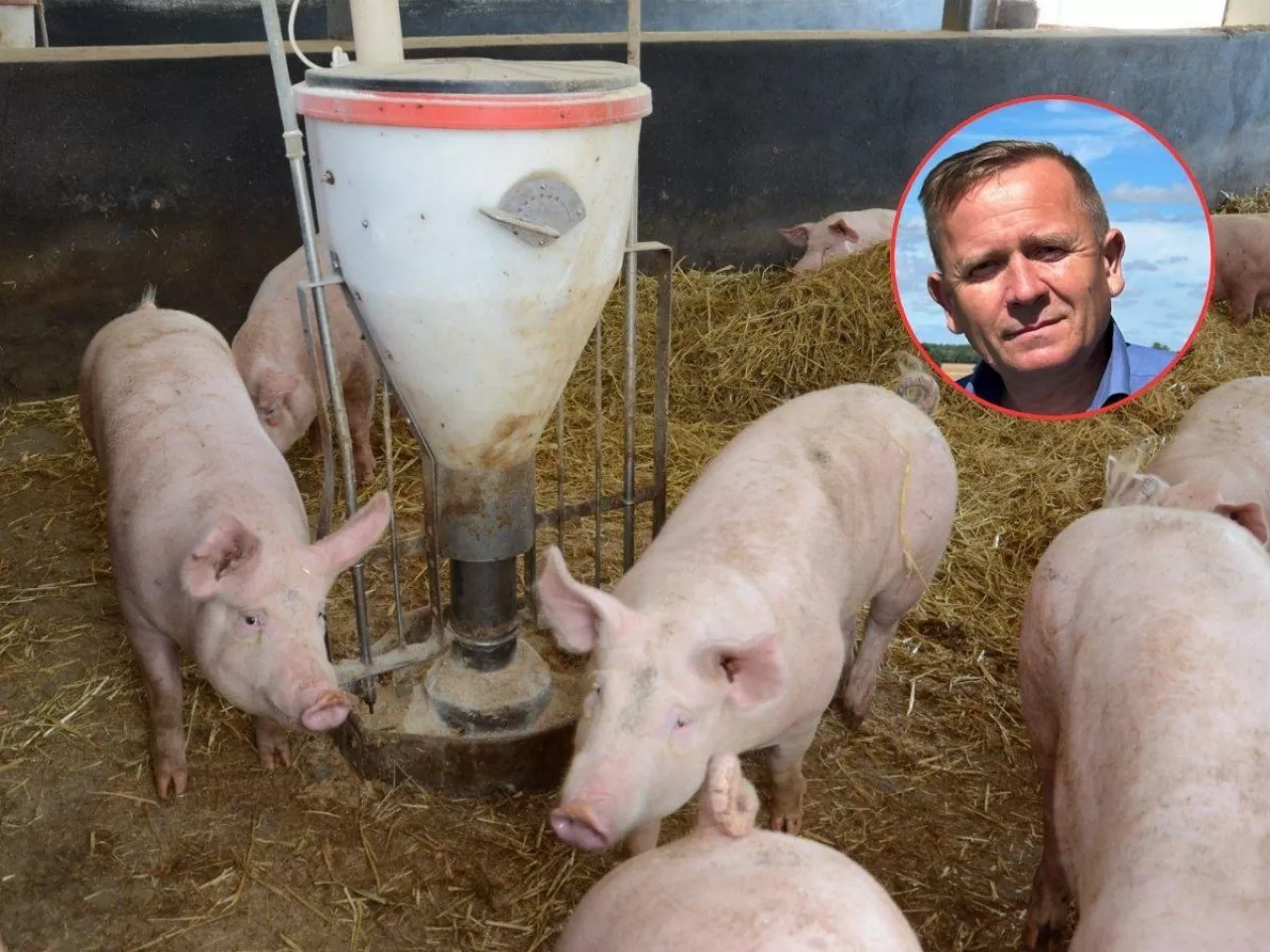 Wrócą dopłaty dla rolników? Izba Rolnicza przedstawia plan ratunkowy
