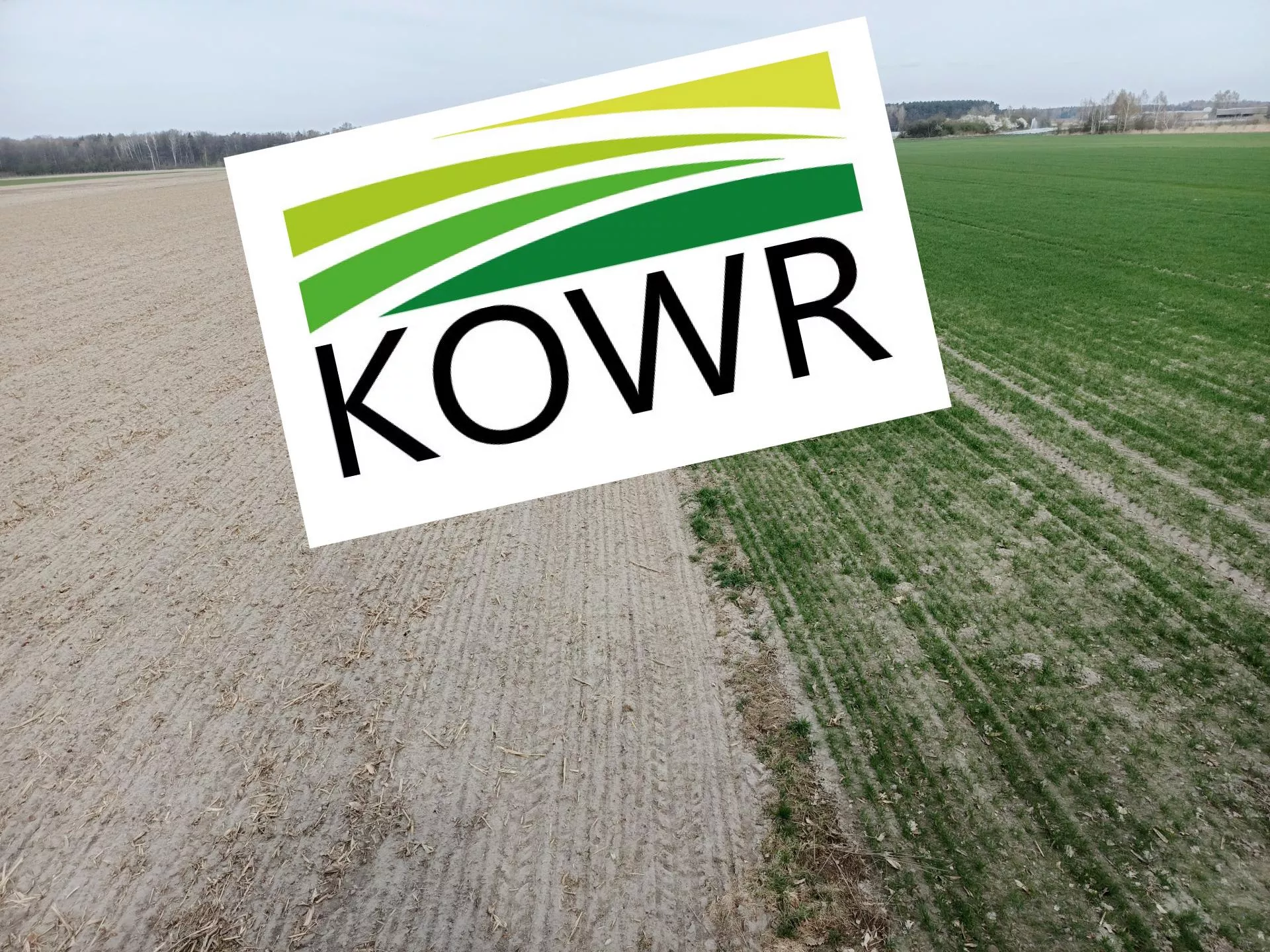 KOWR przejął prawie 5 mln ha ziemi. Skąd pochodziły te grunty?