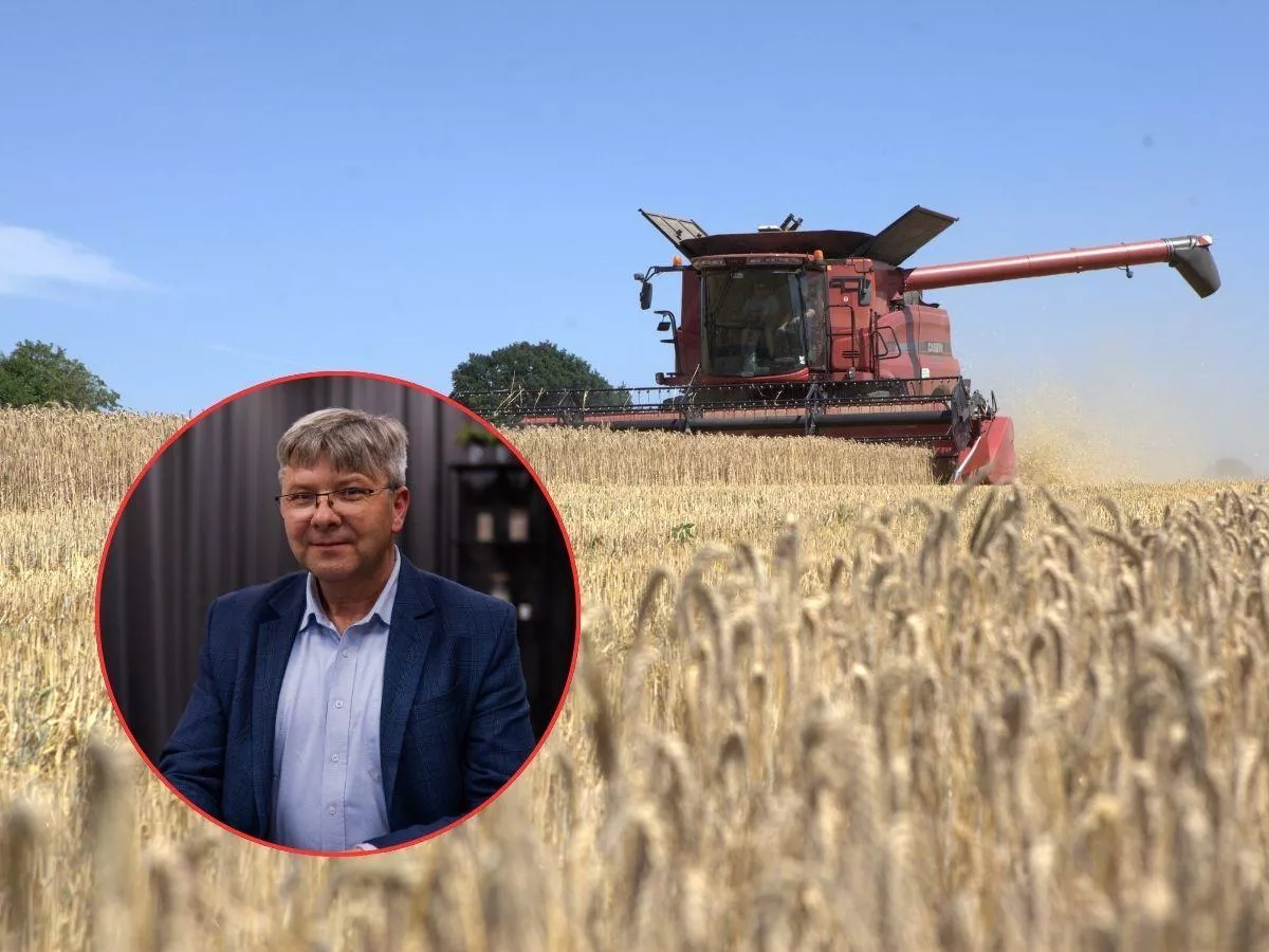 "Załamują się kolejne rynki". Prezes Agroloku ostrzega rolników