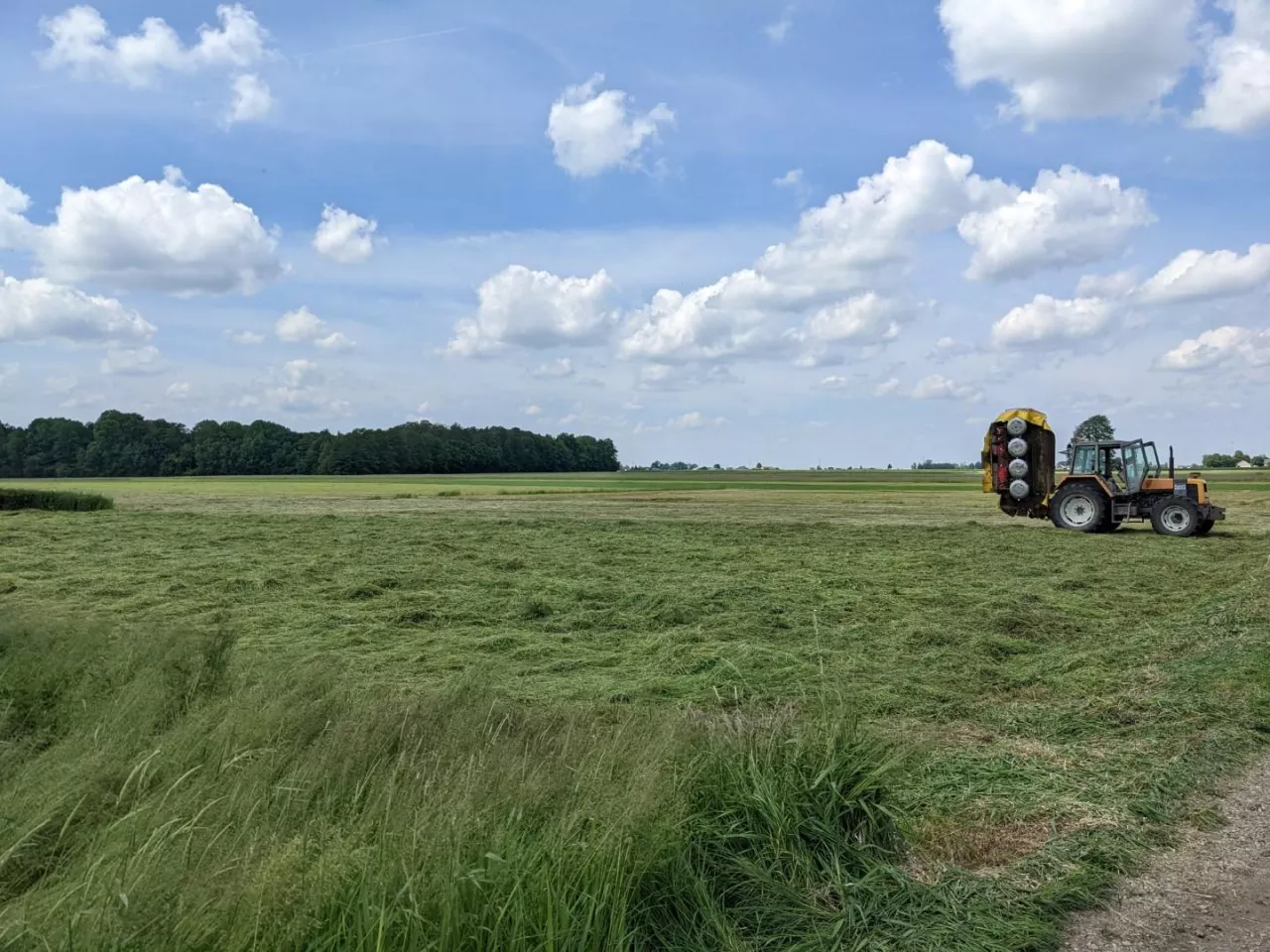 Łąkę nawozi się w trzech terminach. Jakie dawki stosować?